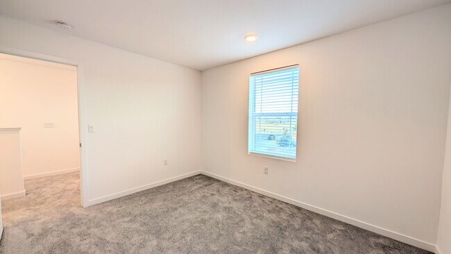 Building Photo - Beautiful Brand New Construction / Single ...