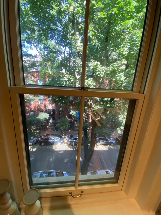 Building Photo - 52 E Springfield St