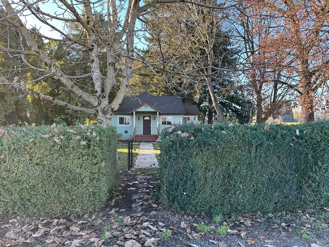 Building Photo - Updated House on 1/2 an Acre Near Spongs Landing Park! Pet Friendly!