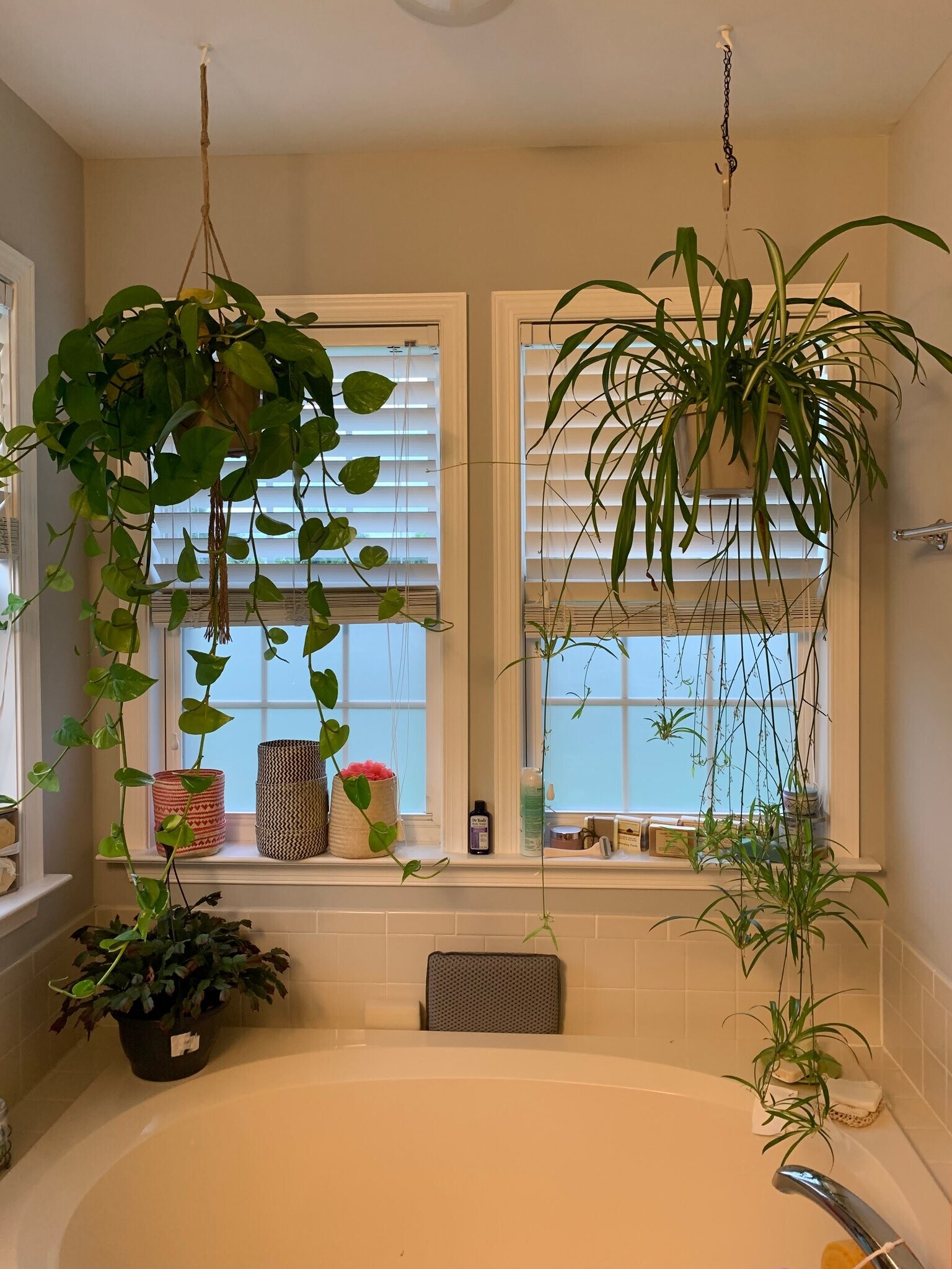 Building Photo - 107 Wheat Field Terrace