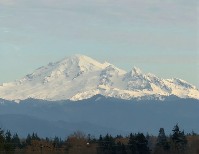 Building Photo - 8450 Treevue Rd