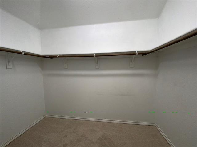 Building Photo - 1236 Freestone Ct