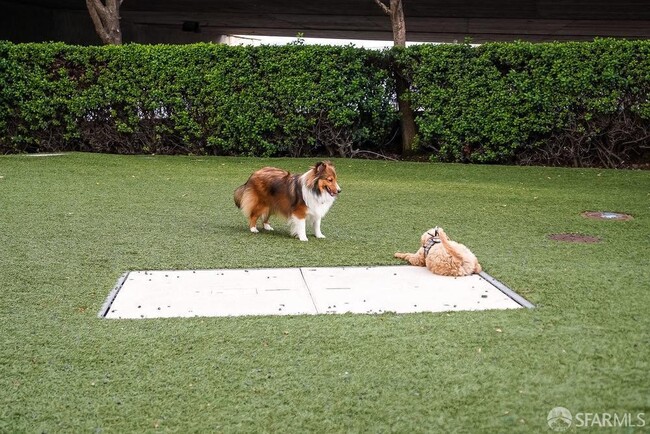 Building Photo - 425 1st St