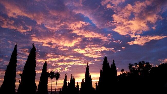 Perfect Sunsets Everyday! - 2043 Altamont Rd