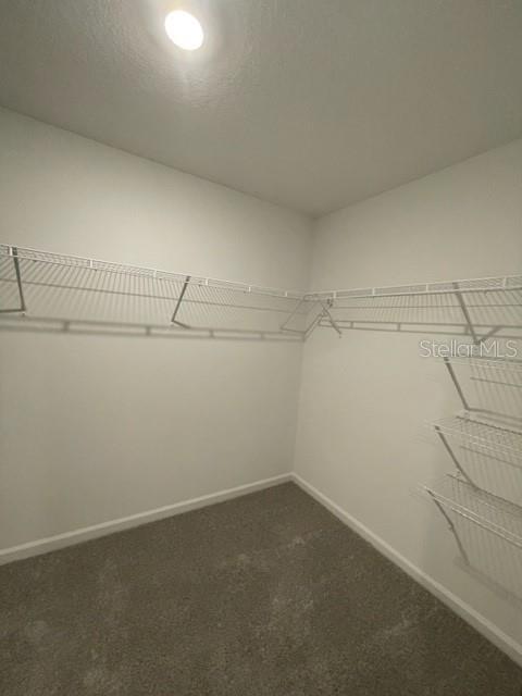 Building Photo - 2216 Rock Dr