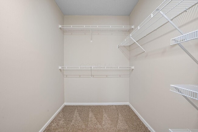 Building Photo - 4951 Stratford Pine Ln