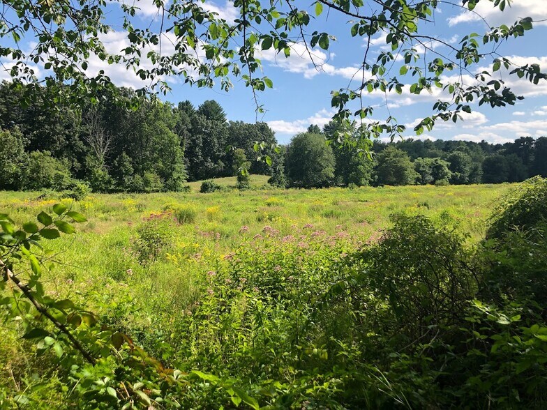 Building Photo - 101 Boston Rd