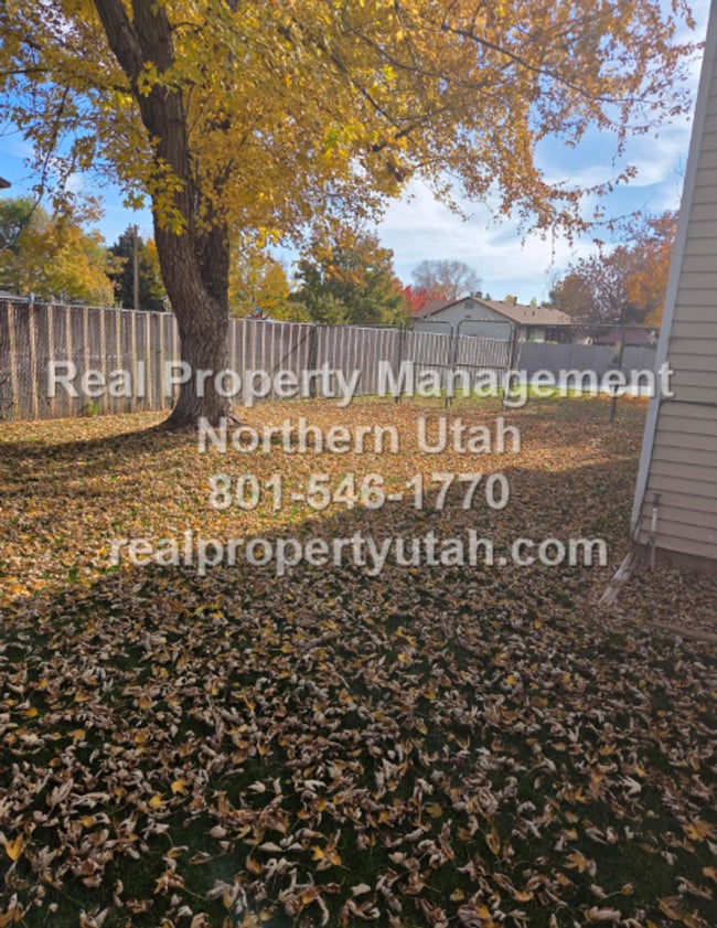 Building Photo - 5 Bedroom Home In West Point Available Now!