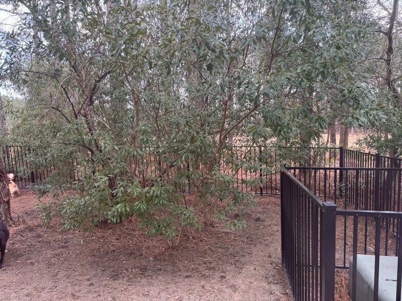 Building Photo - 79 Falconridge Dr