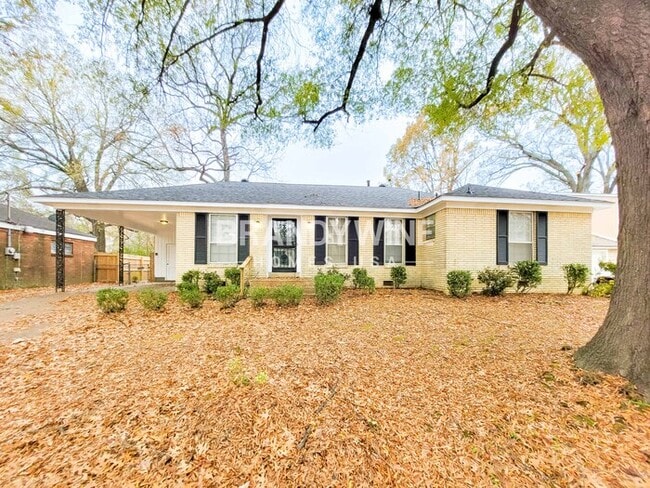 Building Photo - 4059 Brompton Rd