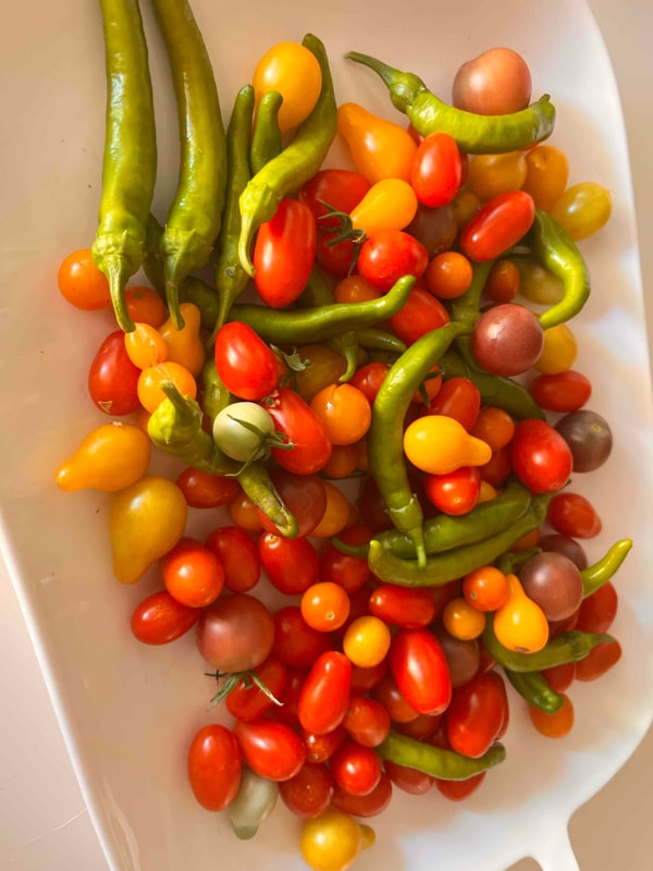 Building Photo - 5001 Whitney Ave