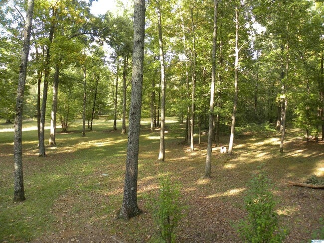 Building Photo - 3015 Old Railroad Bed Rd