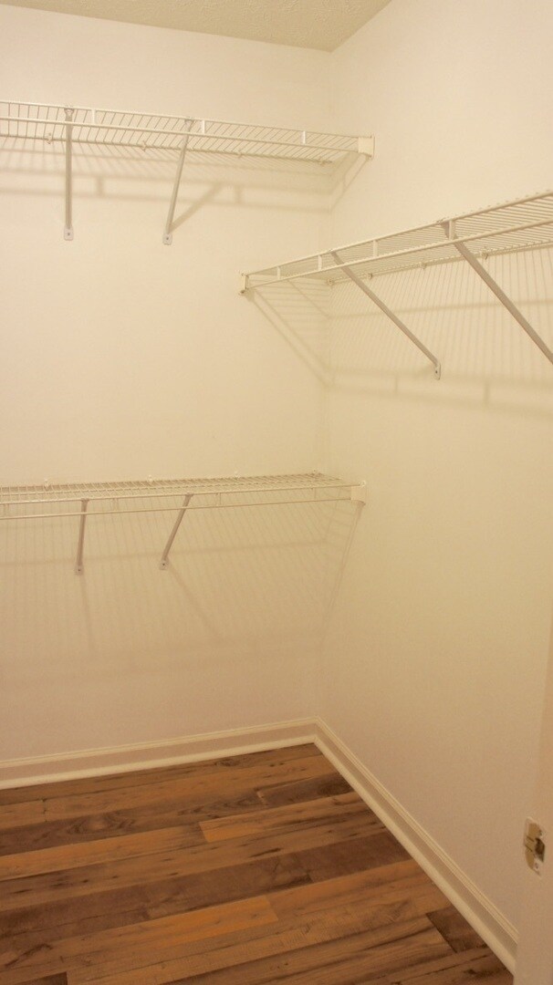 Building Photo - 3304 Chariot Ct