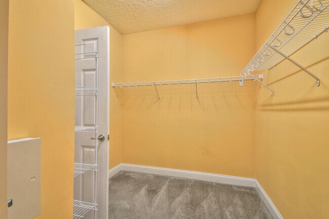 Building Photo - 3521 Carolwood Ln