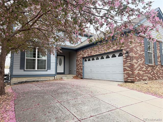 Building Photo - 11655 Zenobia Ct