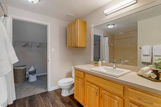 Building Photo - Up to 6 Weeks Off | 1-Bed Near Beltway 8!