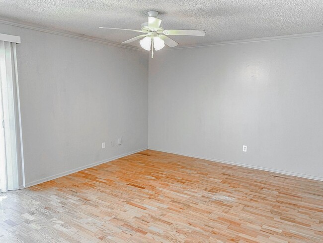 Building Photo - Charming Home with Amazing Natural Lighting!