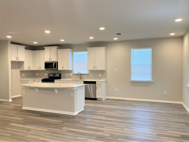 Building Photo - 4-bedroom Home in Vistas of Austin Communi...