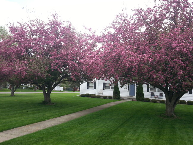 Street View Springtime - 200 Carpenter Rd