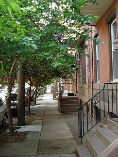 Street view - 1518 S 13th St