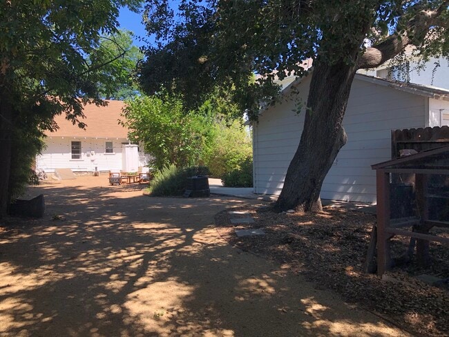 Beautiful Oak Tree with Chicken Coop (Renter must pull permits) - 616 N Wilson Ave