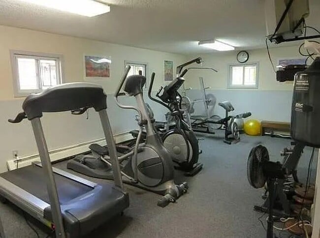 Building Photo - Updated 2 Bed/1 Bath Apartment in Desirable, Quiet Neighborhood