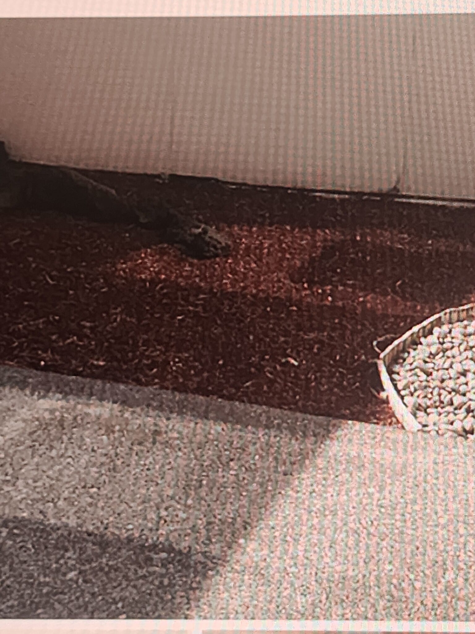 Patio area - 50 NE Village Squire Ave