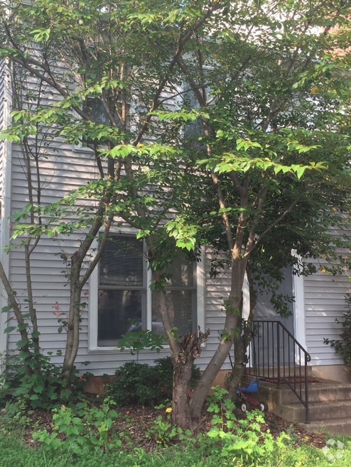Building Photo - 10398 Rapidan Ln