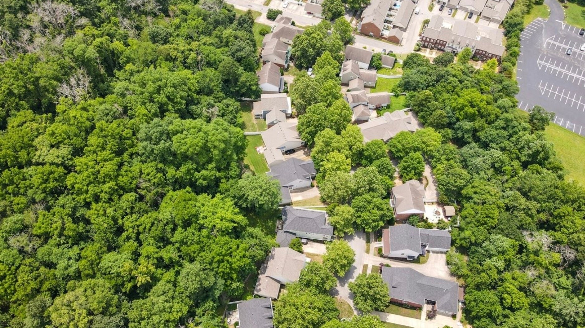 Building Photo - 8344 Saint Danasus Dr