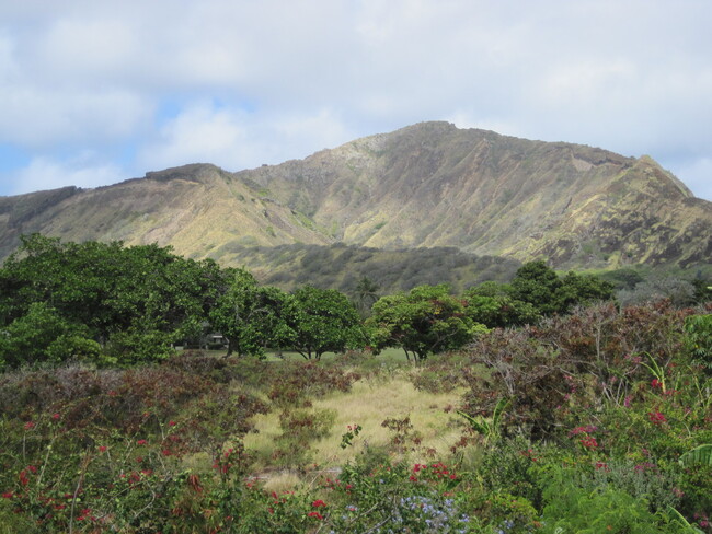 Building Photo - large 5 bedroom 3 bath home: Kalama Valley