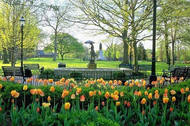 Schiller Park - 396 E Mithoff St