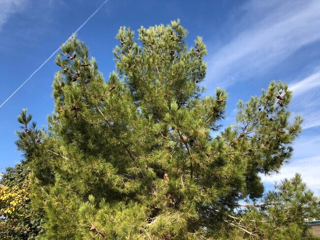 Building Photo - 2103 S Granada Dr