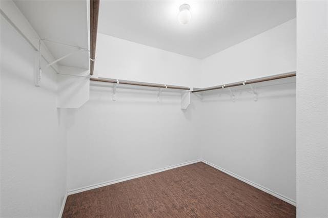 Building Photo - 1011 Riverstone Trl