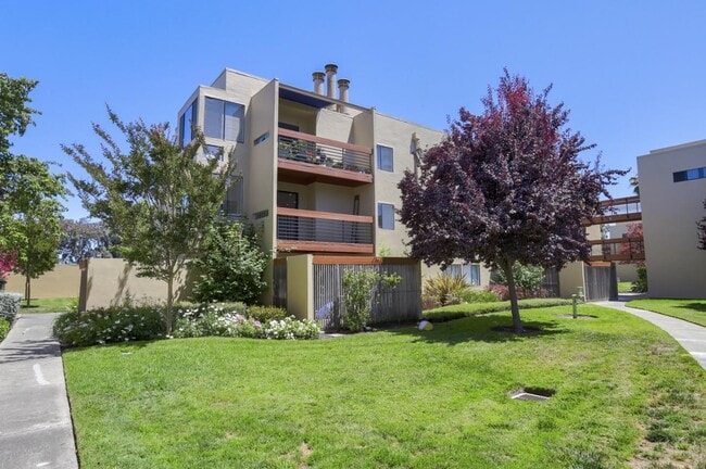 Building Photo - 916 Beach Park Blvd