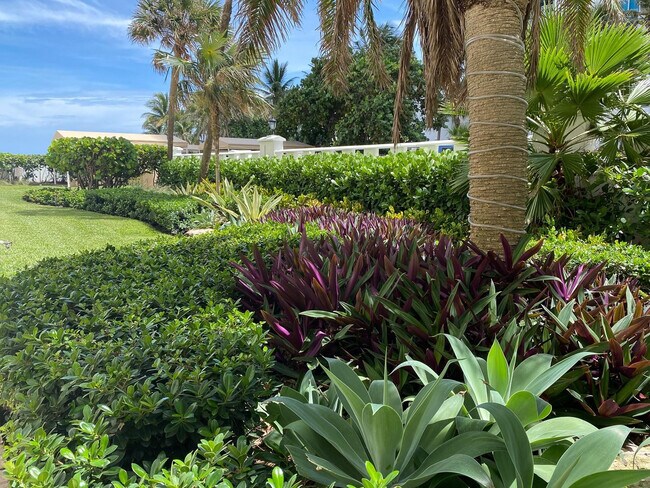 Building Photo - 3505 S Ocean Dr