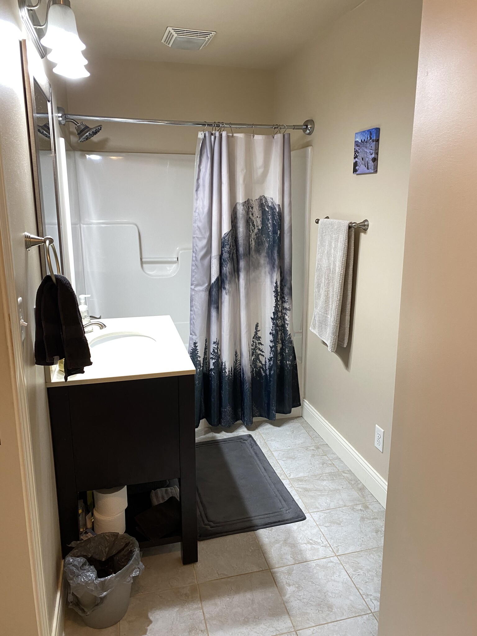 Master bathroom vanity and shower - 109 Scenic Dr
