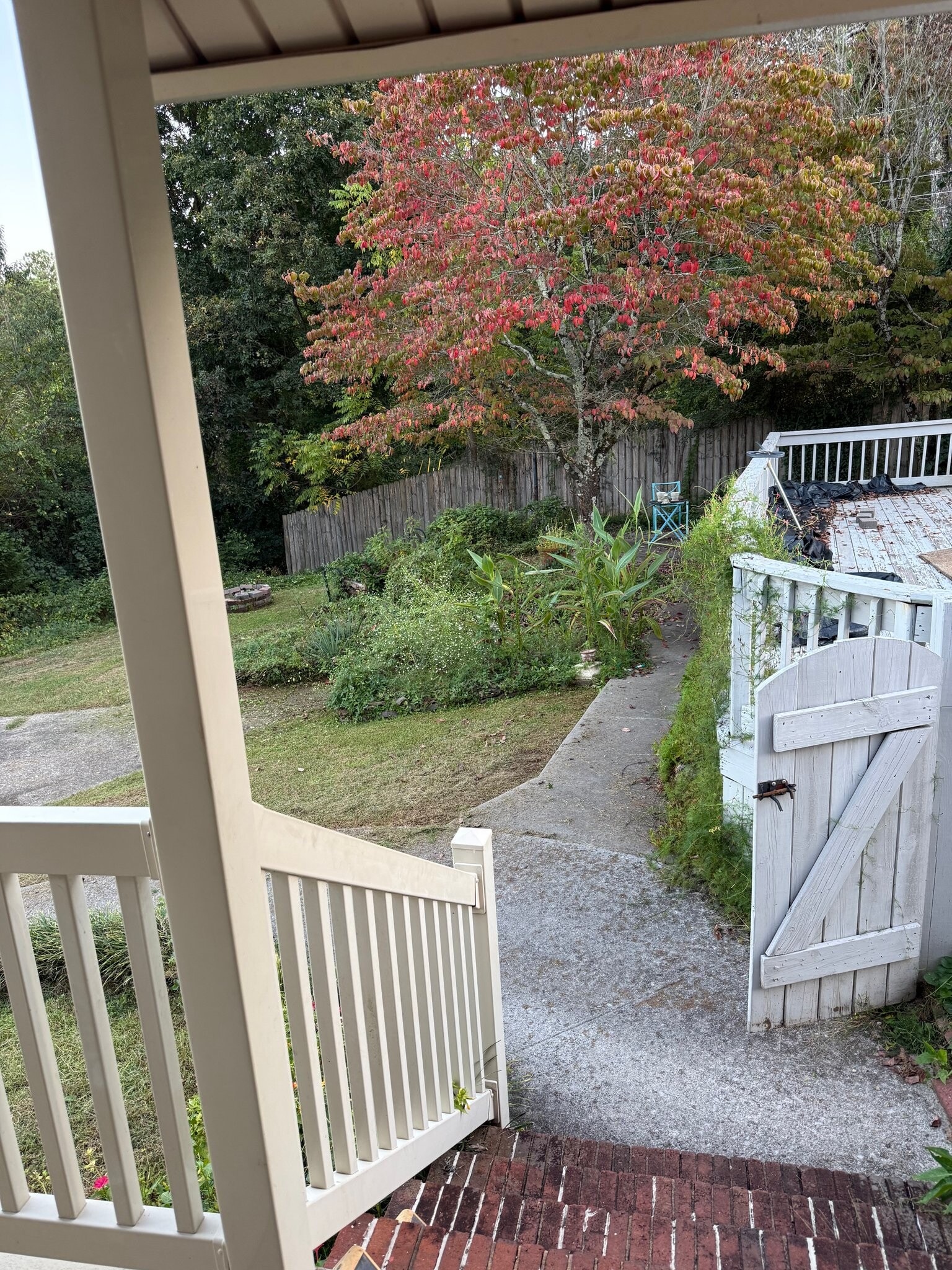 Building Photo - 212 White Oak St