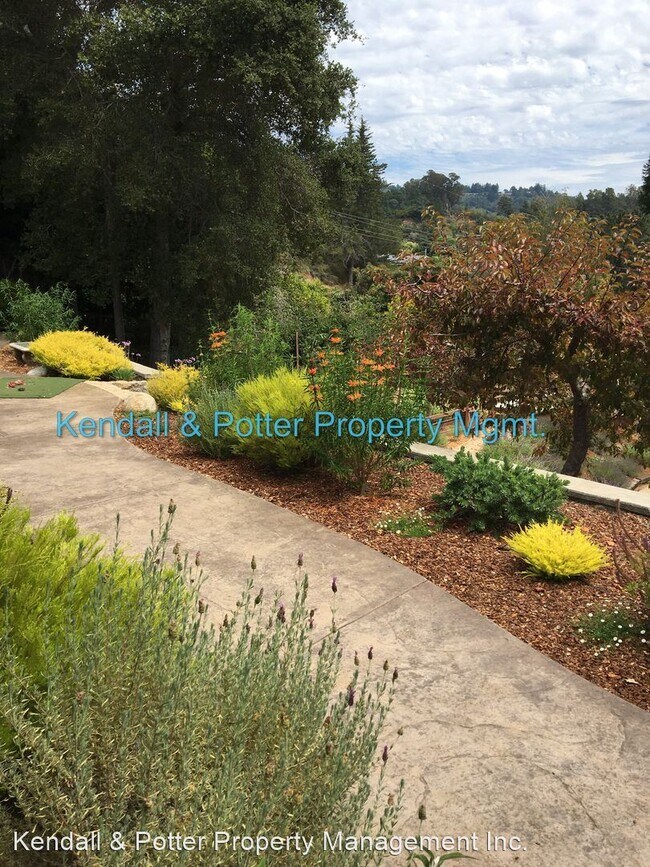 Building Photo - 3 br, 3 bath House - 2000 Cox Rd.