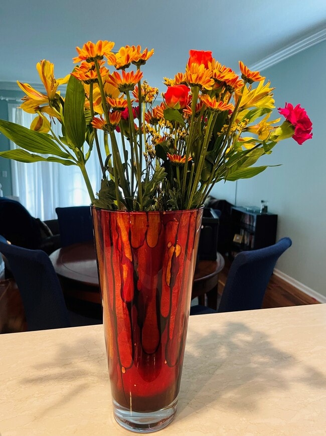 Building Photo - 11126 Windsor Place Cir