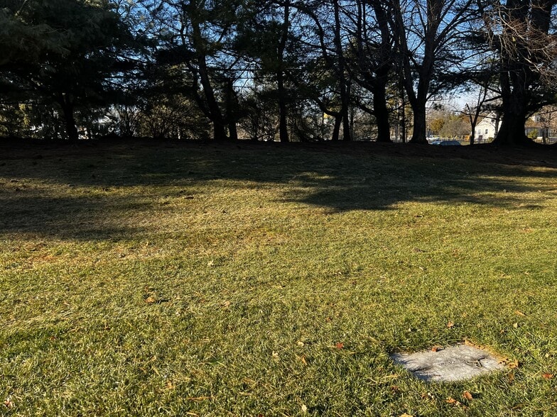 Backyard - 146 Carson Ct