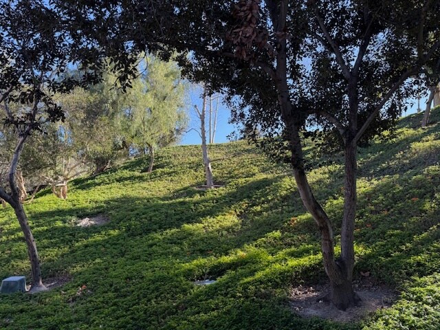 Building Photo - 641 S Iron Horse Ln