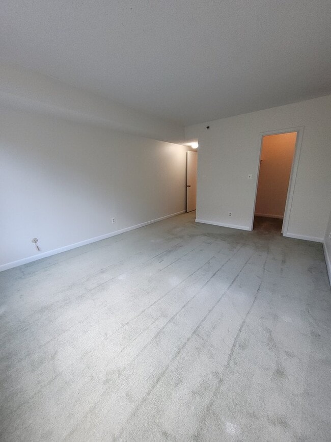 Bedroom - 3709 S George Mason Dr