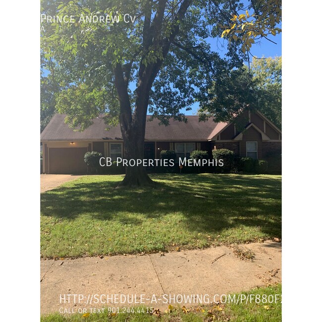 3651 Prince Andrew Cove 3651 Prince Andrew Cove Memphis TN 38135