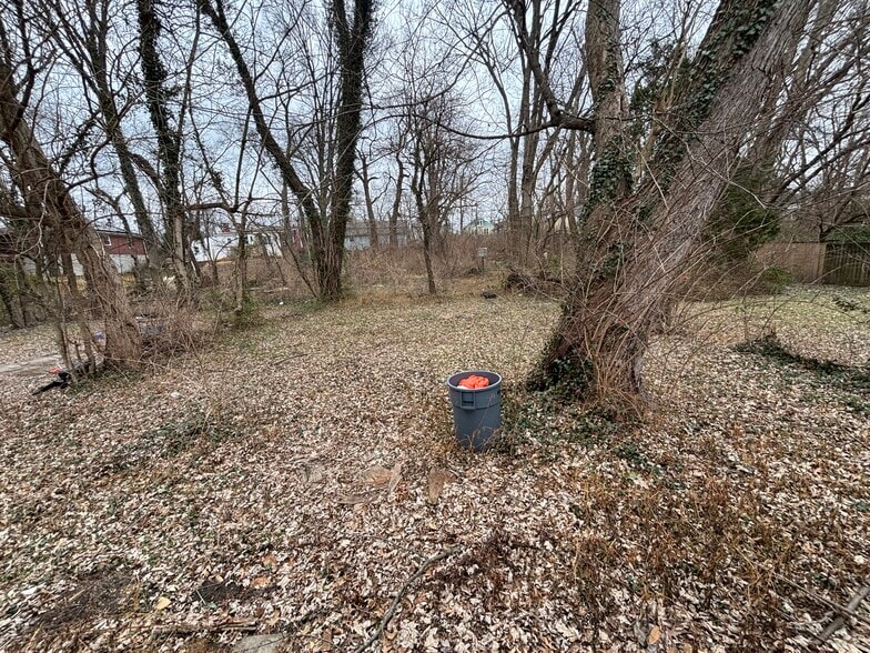 Back Yard - 323 N 36th St