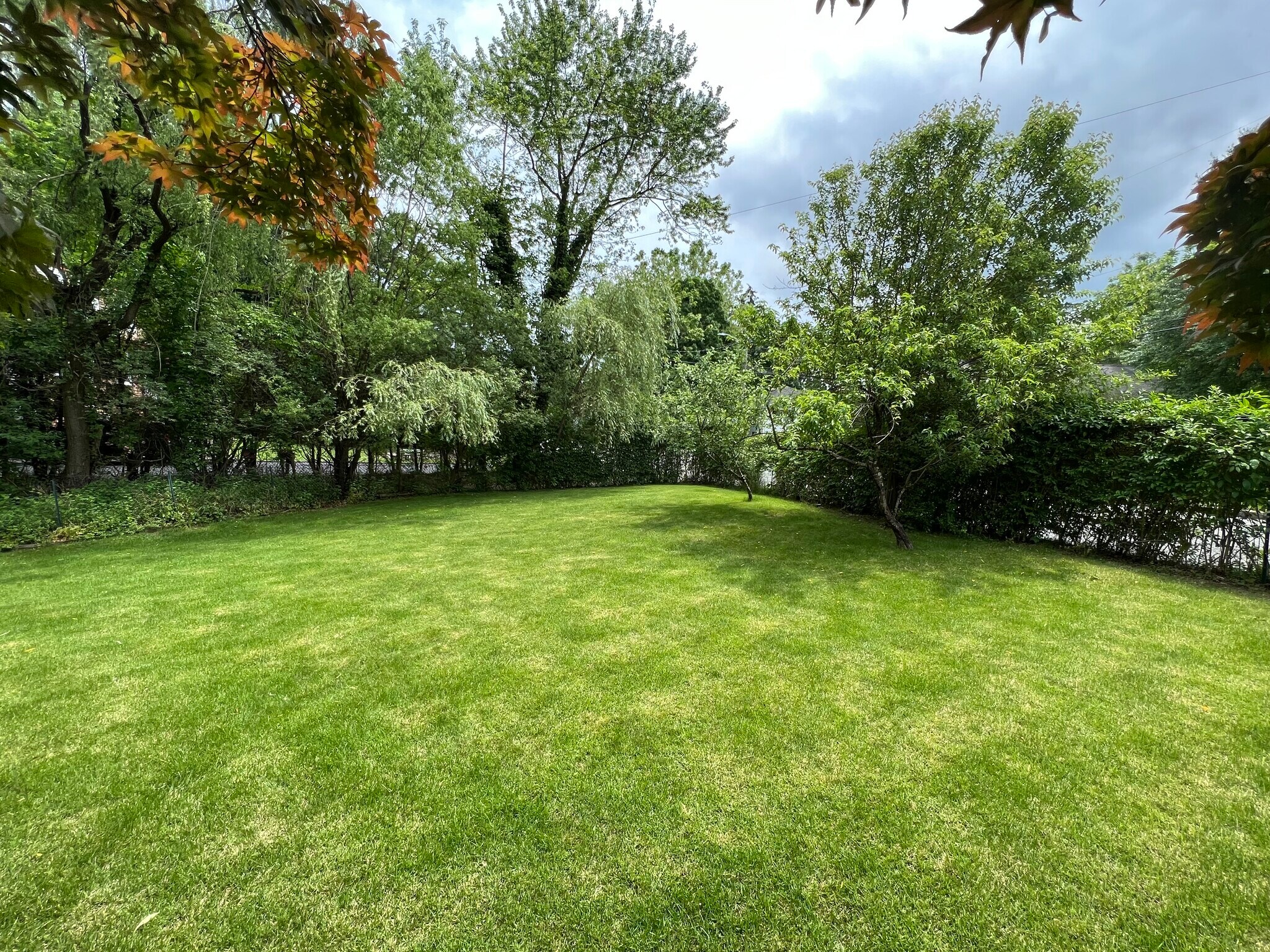 Yard - 40-2 Oak St