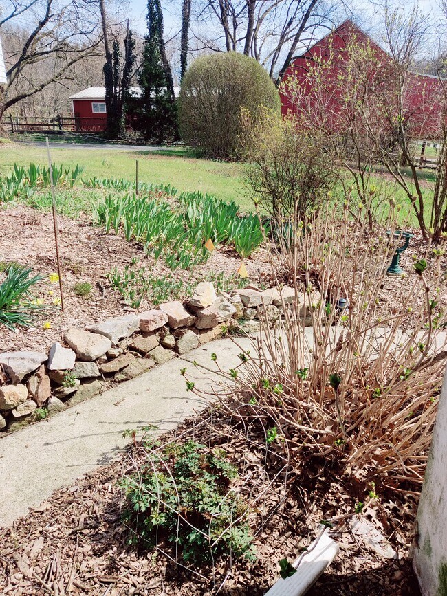 Maintenance-free lush gardens - 1009 Reading Ave