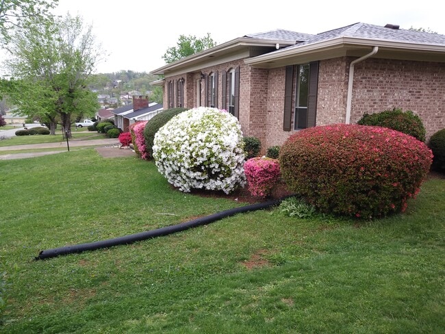 Building Photo - 2512 Sharron Dr