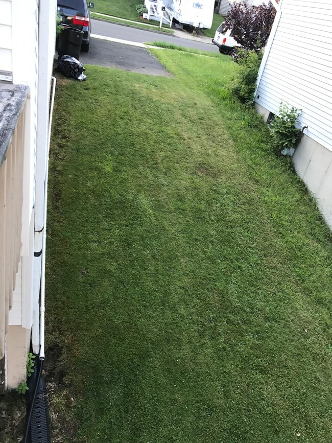 Side yard - 85 Wilson Ave