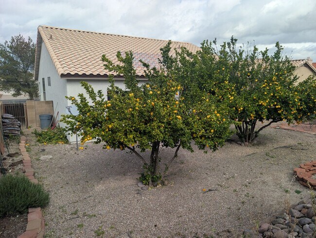 Building Photo - Great eastside location Pet friendly