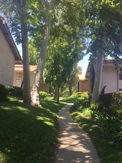 Building Photo - 31535 Lindero Canyon Rd